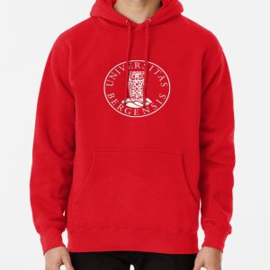 University of Bergen logo Pullover Hoodie