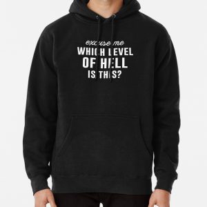 Excuse Me Which Level Of Hell Is This? Pullover Hoodie