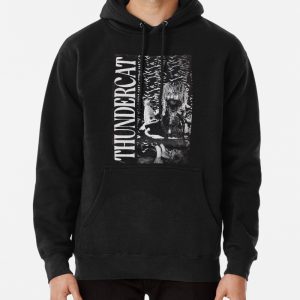 Thundercat #2 Pullover Hoodie