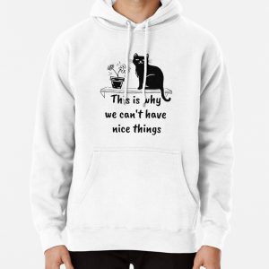 This is why we cant have nice things Pullover Hoodie