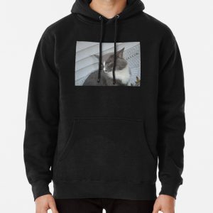 Cute Cat Side-eye Print Pullover Hoodie