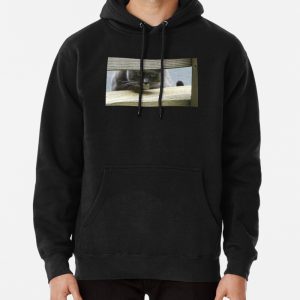 Barn cat Peeking through fence Pullover Hoodie