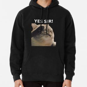 Saluting meme cat Pullover Hoodie