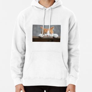 Red cat on bench Pullover Hoodie