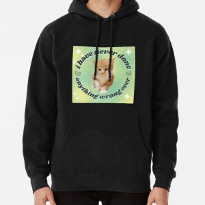 I Have Never Done Anything Wrong Ever Pullover Hoodie