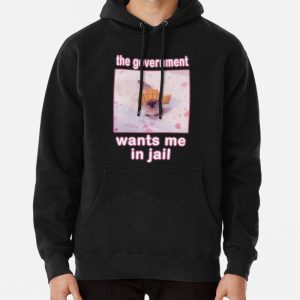 The Government Wants Me In Jail Funny Cat Meme Gift For Woman And Man Pullover Hoodie