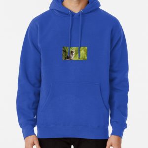 Cute kitten sitting down Pullover Hoodie