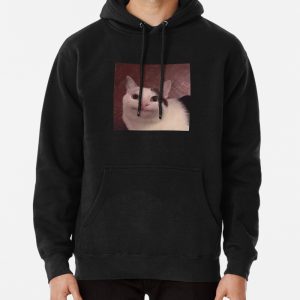 Awkward Smiling Cat meme Pullover Hoodie