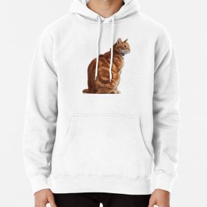 Orange Cat Pullover Hoodie