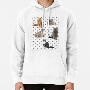 Cute cat pack Pullover Hoodie