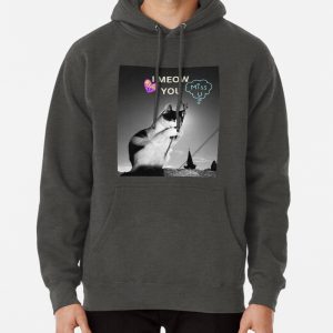The ideal of calm is in a sitting cat !!!! Pullover Hoodie