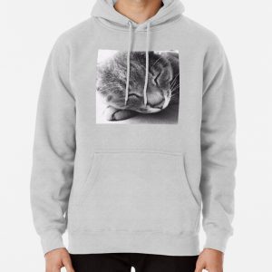 Sleeping Cat Pullover Hoodie