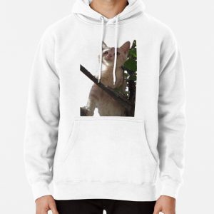 Cute cat staring from tree branch Pullover Hoodie