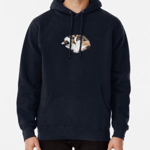 Sleepy Chimera Cat Pullover Hoodie