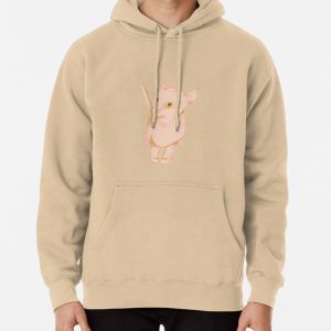 Los gatitos Pullover Hoodie