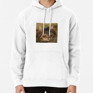 Tabby street cat Pullover Hoodie
