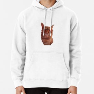 Peachy sunglasses cat Pullover Hoodie
