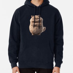 Serious cat Pullover Hoodie