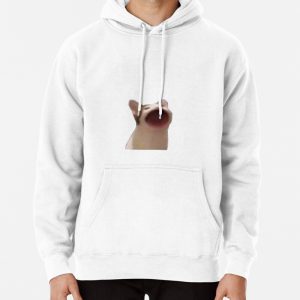Cat meme Pullover Hoodie