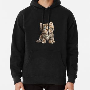 Cute Kitten Pullover Hoodie