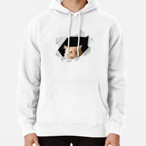 Cute baby cat Pullover Hoodie