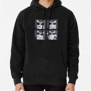 Funny cat with glasses Pullover Hoodie
