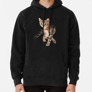 Tabby Kitten - Cute Domestic Tabby Cat Pullover Hoodie